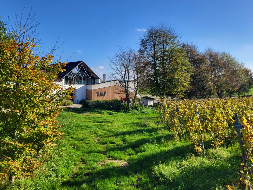 Domaine W